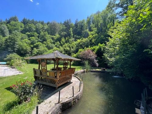 Le Clapot- Les Iris - Pension de famille - Saint-Étienne