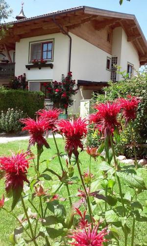 Ferienhaus Hirterhütte