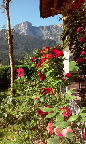 Ferienhaus Hirterhütte