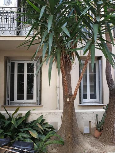 Palais Ophelia, Nice (fotografie 5)