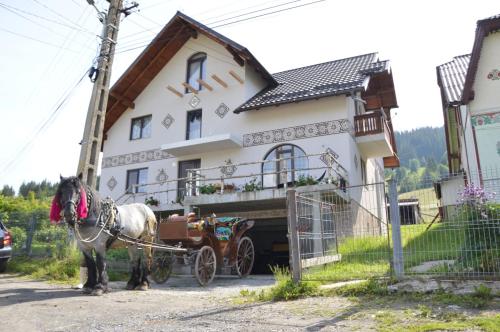 Casa Aureliana in Ciocănești