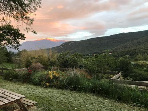 Mas Lluganas chambre d'hôte Forêt de Salvanère