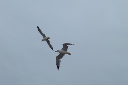 Hotel Real - image 4