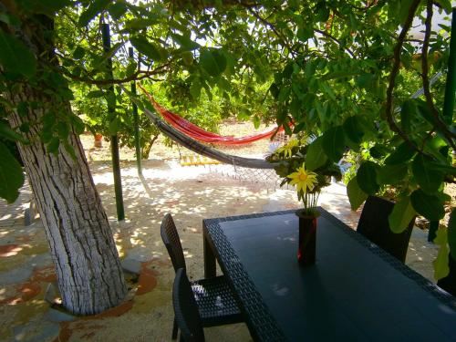 Bed and Breakfast L' Aranciera