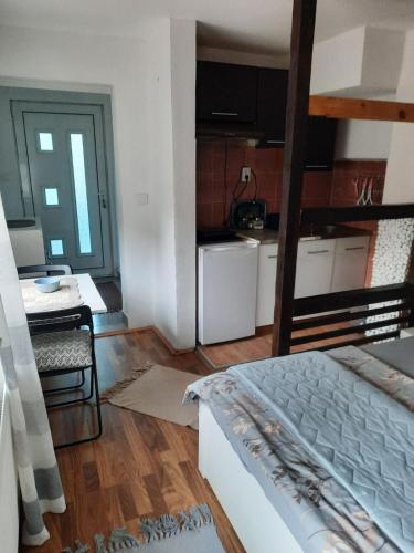 Apartmani Biljana Lazić - image 10