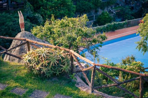 Hotel Cernia Isola Botanica - image 6