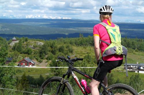 Oset Høyfjellshotell - image 7