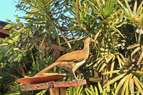 Pousada Fragata - Arraial D Ajuda - Melhor Localização e Atendimento