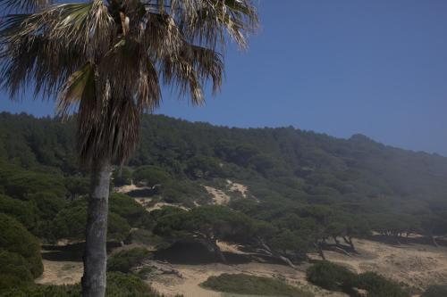 Hostal Mar de Frente - image 9