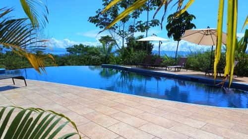 Swimming pool, Corcovado Private Villas - Corcovado Private Reserve in Osa Peninsula