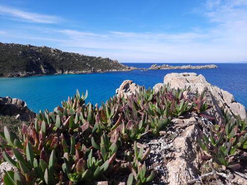 Le Villette di Ruoni Santa Teresa Gallura