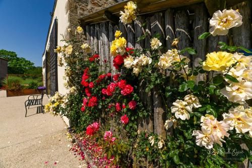 Les Chambres d'Aurore