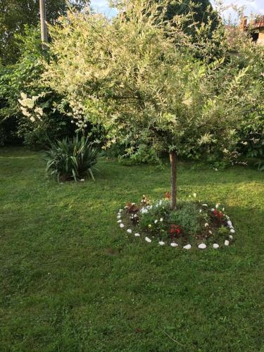Apartman Milica Vrnjacka Banja photo