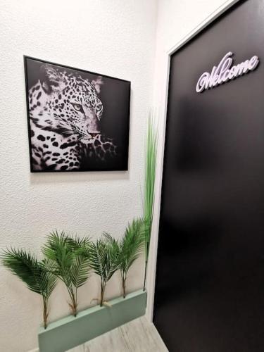 024 - Le Cellanova - Studio - wifi - 2 pers in Celleneuve