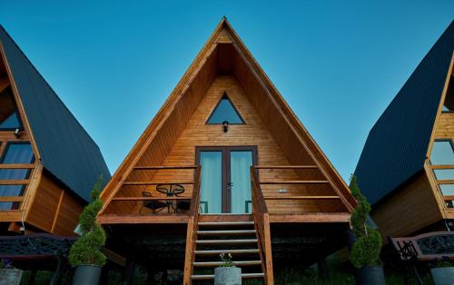 Panorama Dashbashi - Hotel in 泰特里茨卡罗