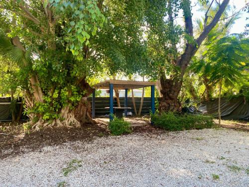 Artful 3BR Oasis in Little Haiti, Miami – khách sạn tại North Miami