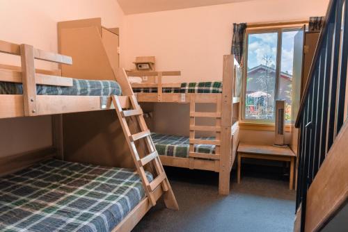 Bed in 6-Bed Female Dormitory Room with Private Bathroom