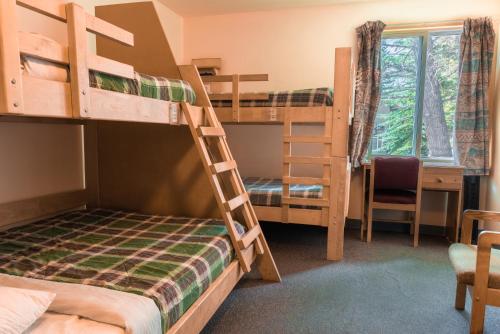 Bed in 4-Bed Mixed Dormitory Room with Private Bathroom