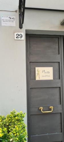 Musa Paradisiaca, Turín (fotografie 2)