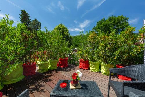 BnB Comfort Guesthouse Olten - Lostorf