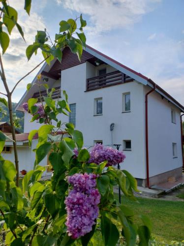 Seven-Bedroom House