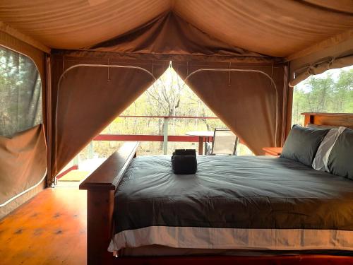. Wild Nature Lodge, Mareeba Wetlands