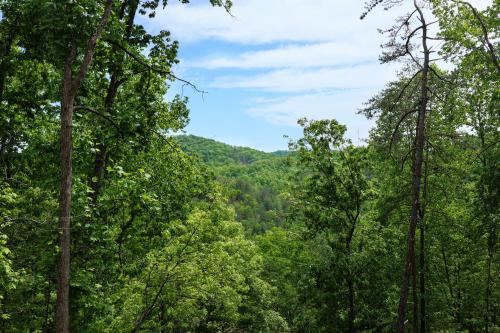 Bear Mountain - image 8