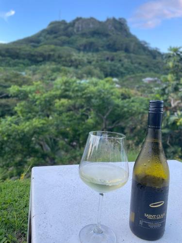 周辺案内, Villa Ura in ライアテア