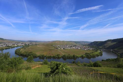 Ernst Clüsserath Weingut & Weinhotelchen - image 7