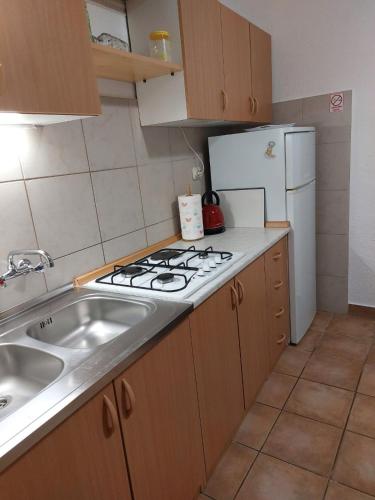 廚房, Sandra Apartmani 3 in 紮斯托格