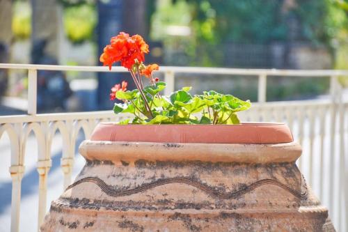 The Mansion House Corfu