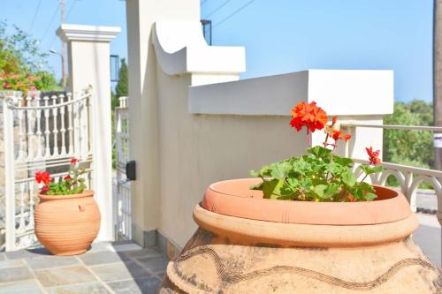 The Mansion House Corfu