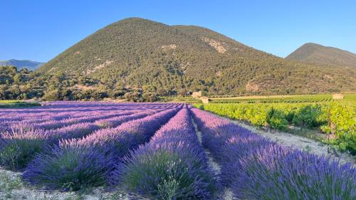 Maison privée style provençal