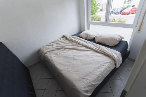 Appartment in den Weinbergen bei Mainz - mit 2x Doppelzimmern, 1x großes Wohnzimmer, Bad & Küche