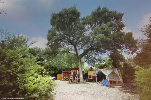 La Roulotte Cavalière, au cœur d'une manade en Camargue - Camping - Arles