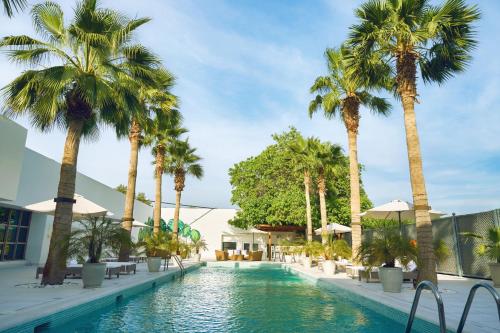 Palmyard Hotel - 정원