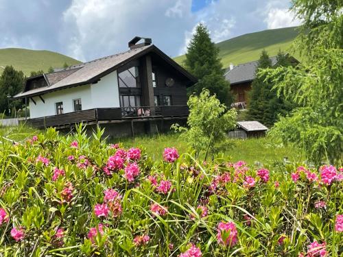  Heidi-Alm Lodge, Pension in Falkertsee