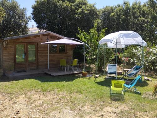 Ma petite cabane Gites des oliviers - Chalet - La Roque-sur-Cèze