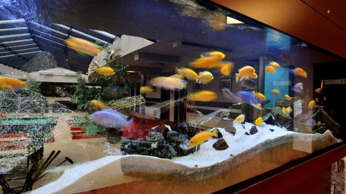 Hotel Diament Spodek - image 7
