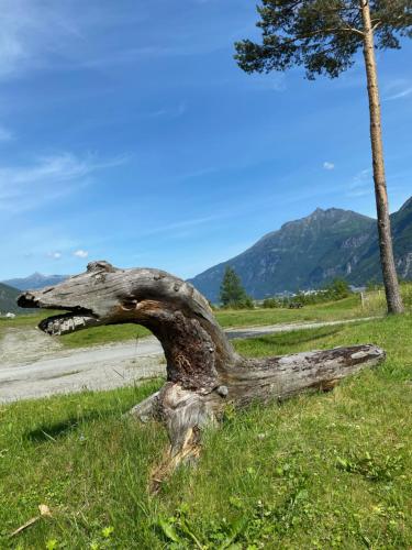 Trædal Hotel - image 14