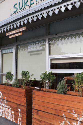 Sureno in Puerto Piramides