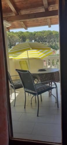  House Anca - Tkon in Tkon