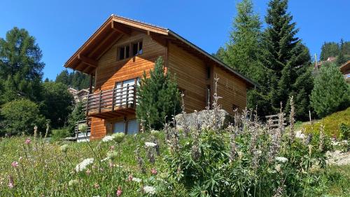 La Pourvoirie - 4 Vallées - Thyon-Les Collons, 10 pers, ski à 200 m, 4 parkings, vue fantastique ! – khách sạn tại Heremence