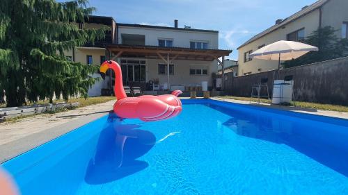 4 room flat with garden and pool