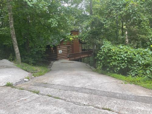 Bearadise - image 33