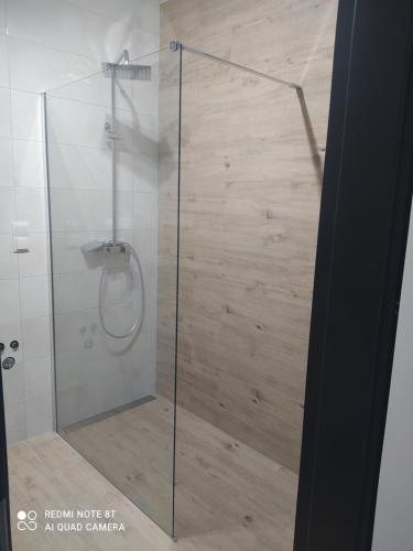 Nowoczesny Apartament Królowej Jadwigi