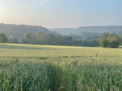 Maison Bretonne de charme à la campagne