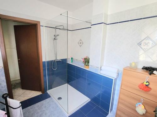  Murgos in Salvaterra