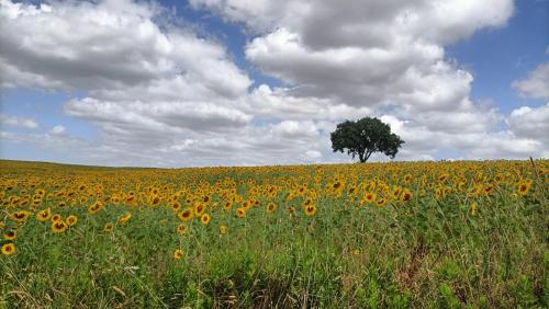  Casa Maria Agriturismo in Magliano in Toscana