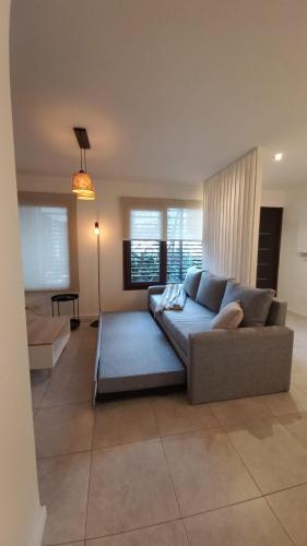 One-Bedroom Apartment image 3